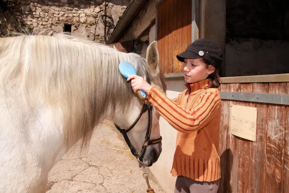 Cours d’éthologie