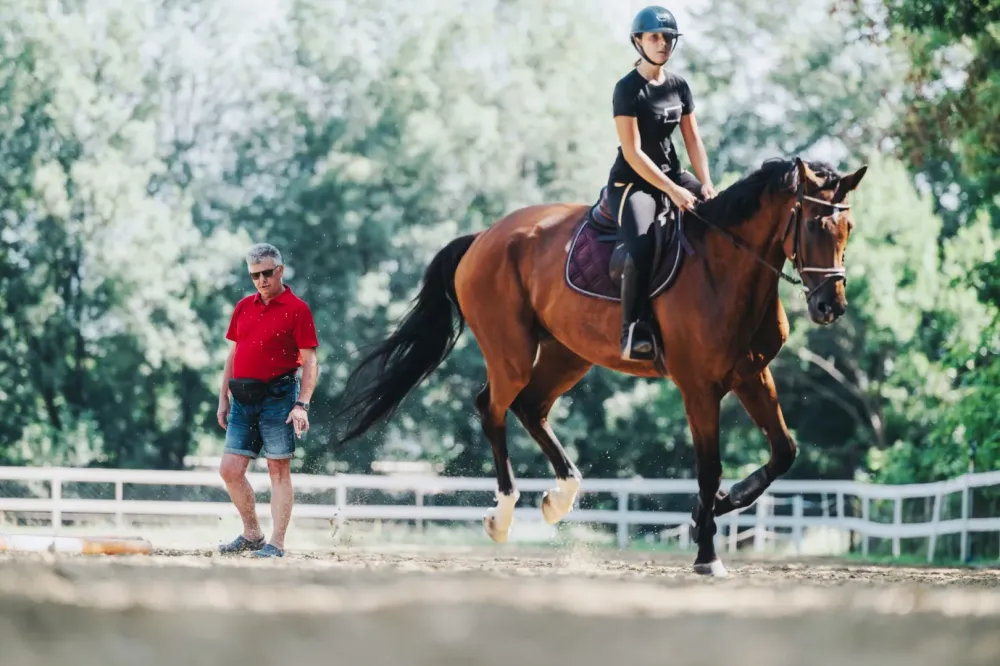 Cours d'équitation