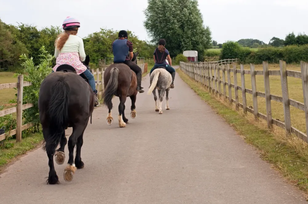 Initiation au cheval à Thuir