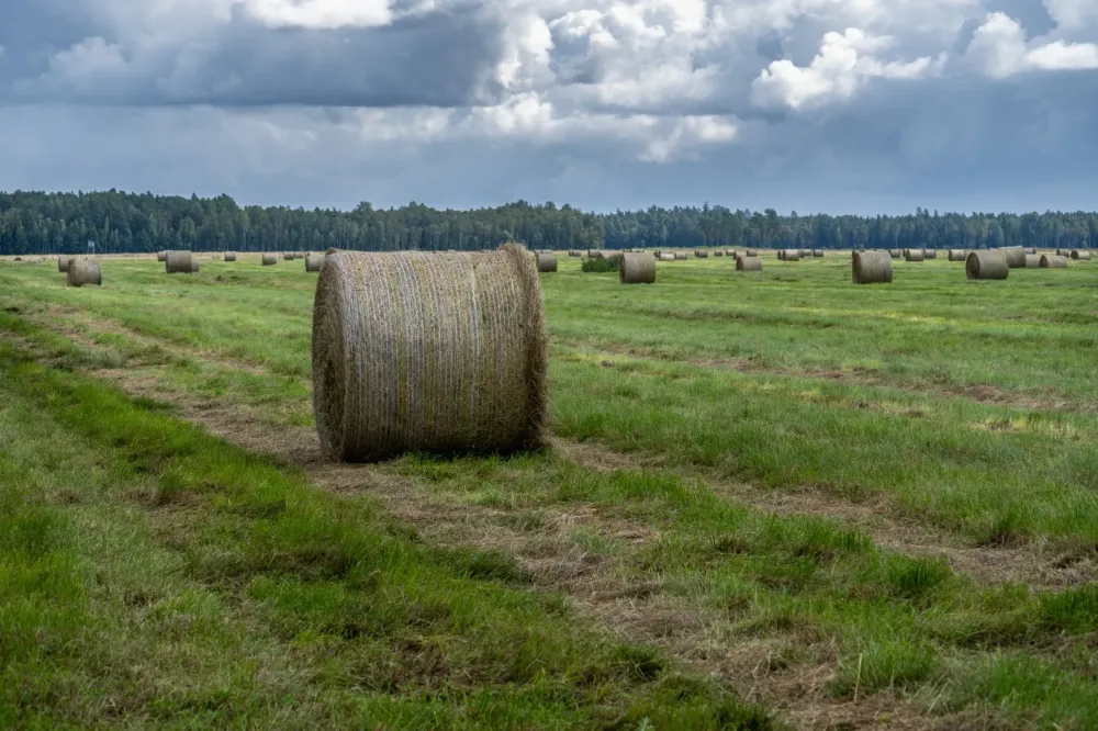 Vente de foin à Thuir